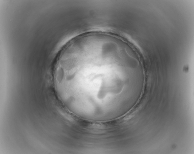 X0000091501215200709061915