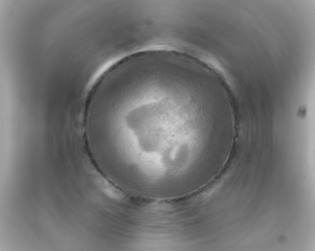 X0000091501216200709061915