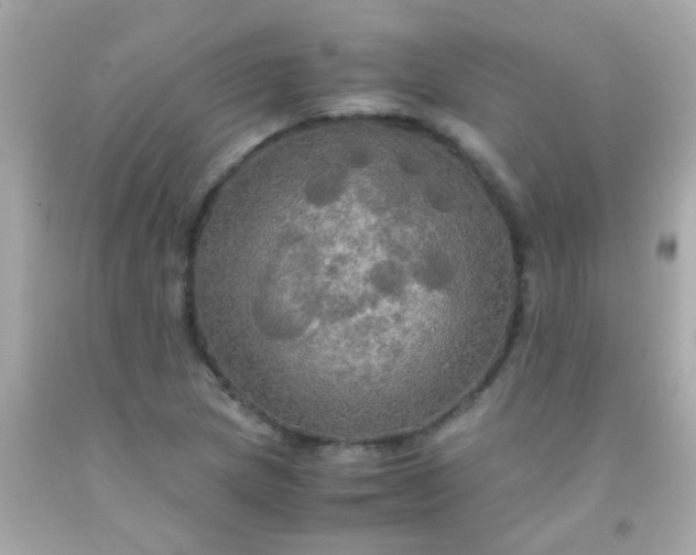 X0000091501217200709061915