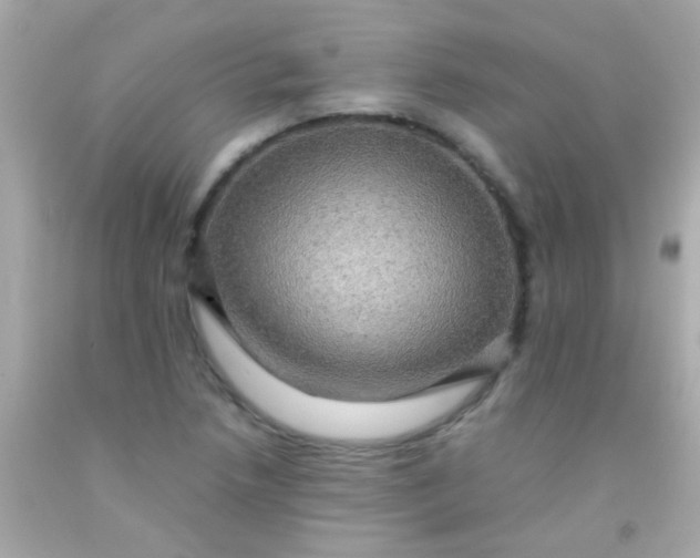 X0000091501218200709061915