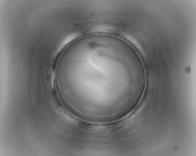 X0000091501219200709061915