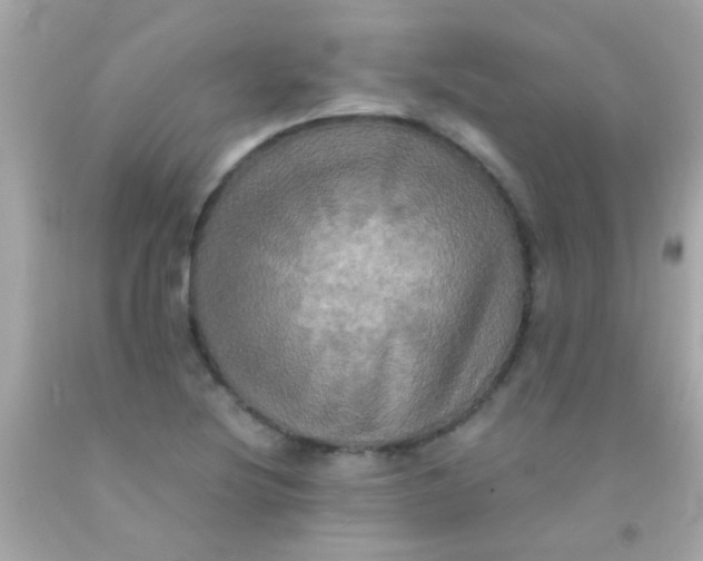 X0000091501220200709061915