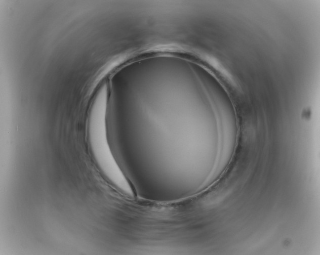 X0000091501221200709061915