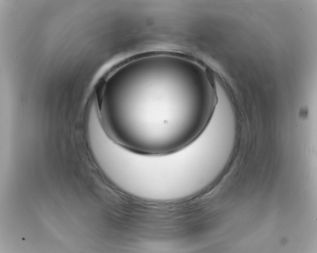 X0000091501222200709061915