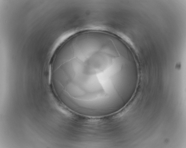 X0000091501223200709061915