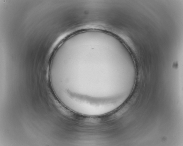 X0000091501224200709061915