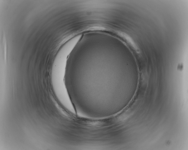 X0000091501225200709061915