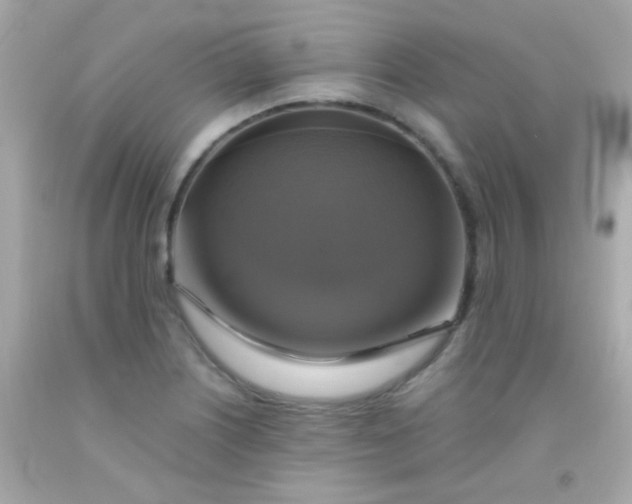 X0000091501226200709061915