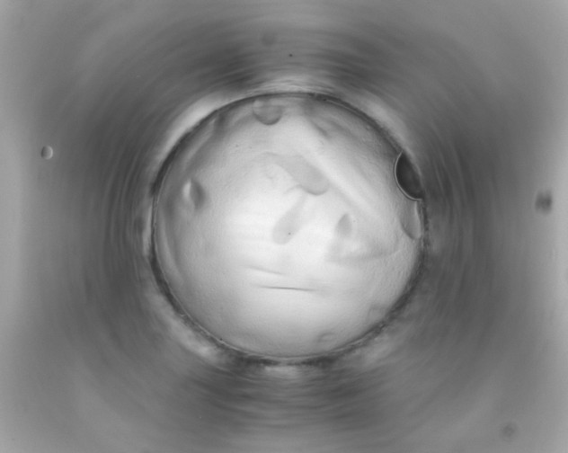 X0000091501227200709061915