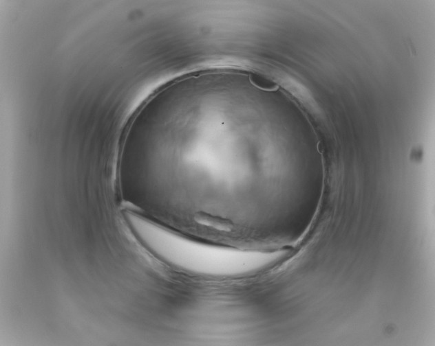 X0000091501228200709061915