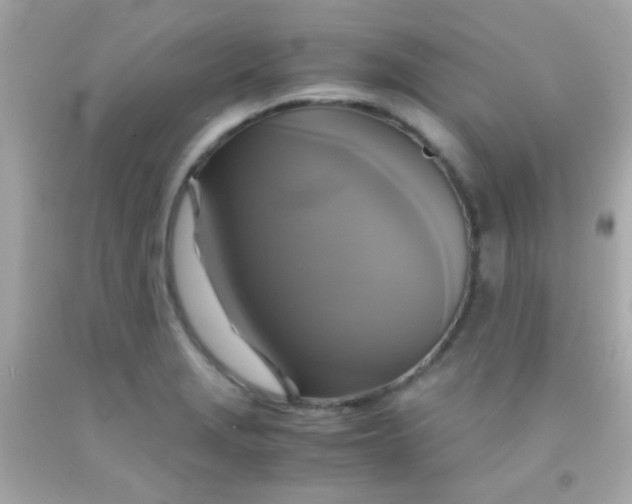 X0000091501229200709061915