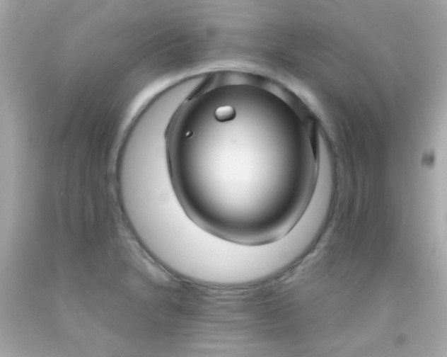 X0000091501230200709061915