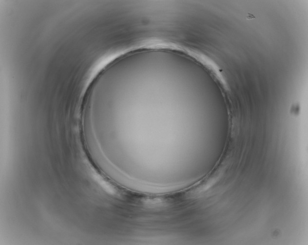 X0000091501231200709061916