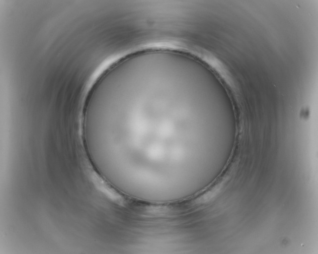 X0000091501232200709061916