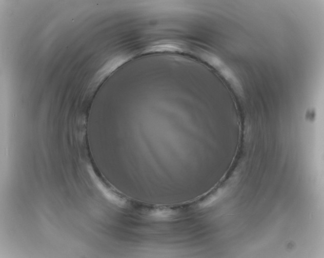 X0000091501233200709061916