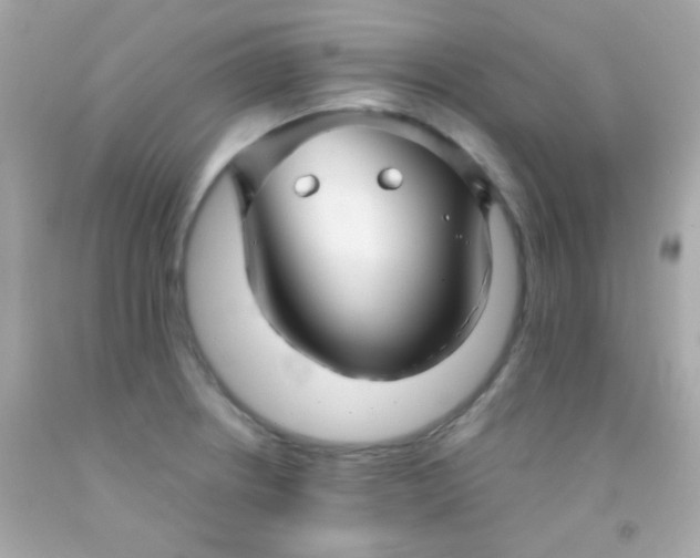 X0000091501234200709061916