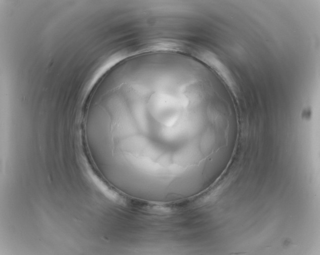 X0000091501235200709061916