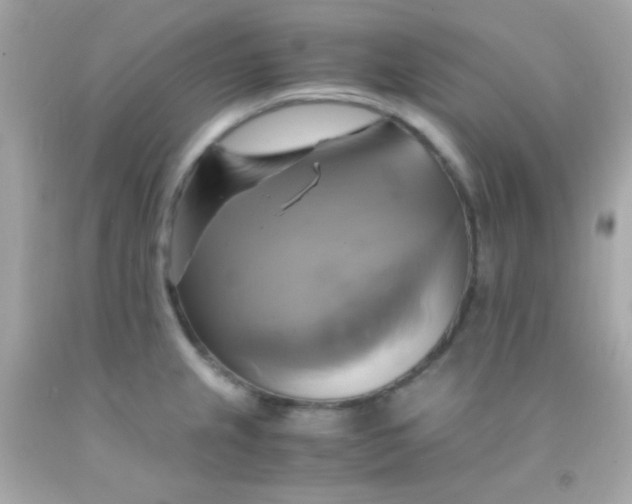 X0000091501237200709061916