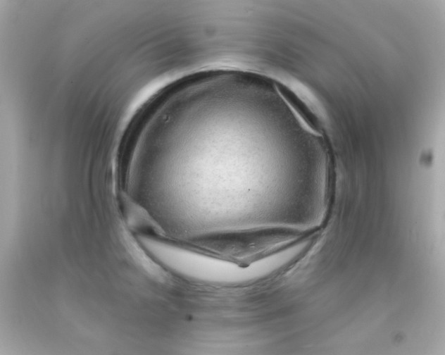 X0000091501238200709061916