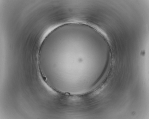 X0000091501239200709061916