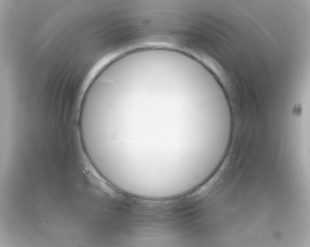 X0000091501240200709061916