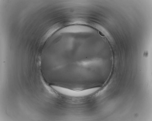 X0000091501241200709061916