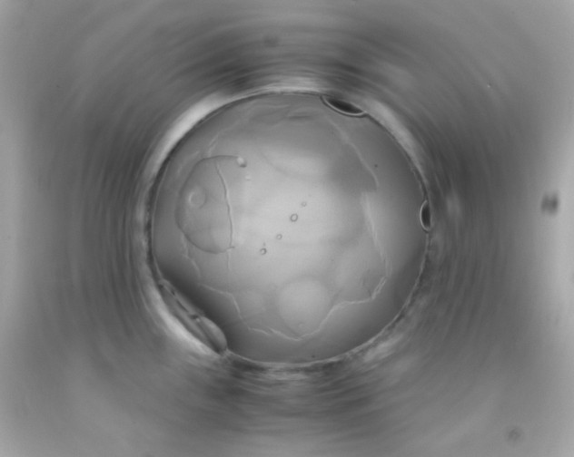 X0000091501243200709061916