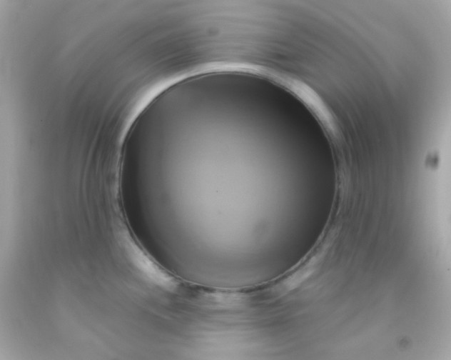 X0000091501244200709061916