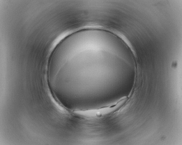 X0000091501245200709061916