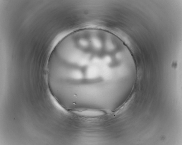 X0000091501247200709061916