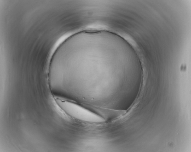 X0000091501248200709061916