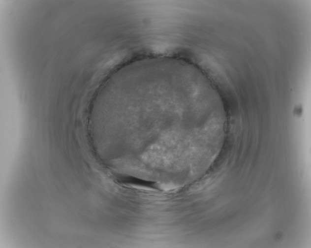 X0000091501249200709061915