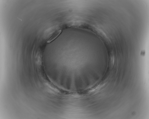 X0000091501250200709061915