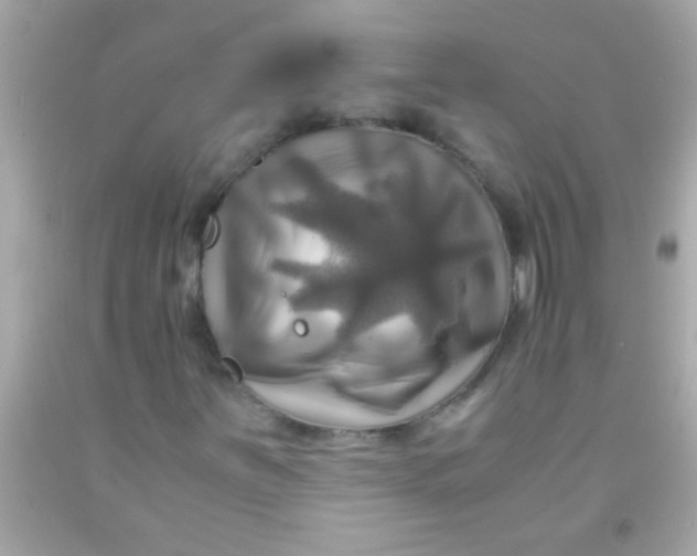 X0000091501251200709061915