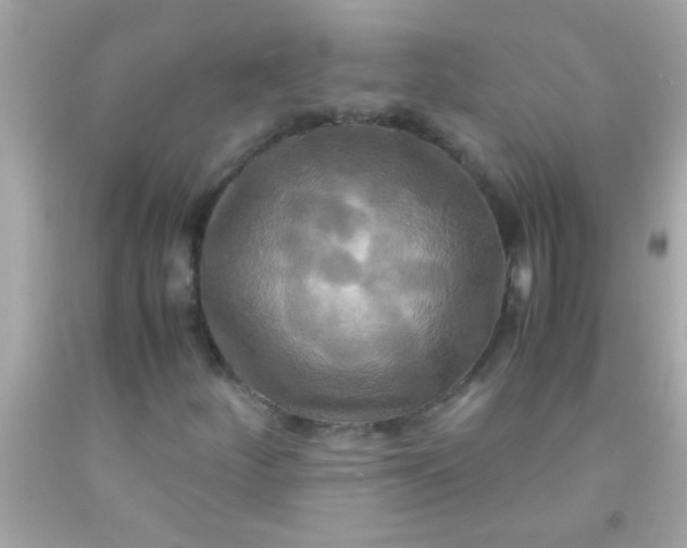 X0000091501252200709061915