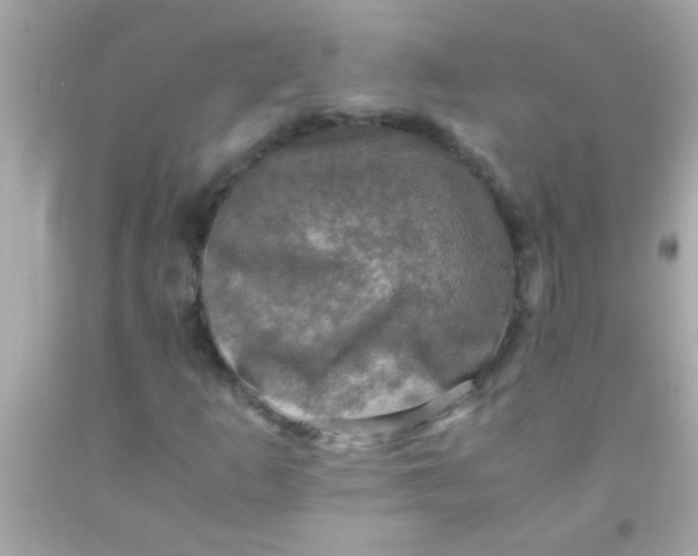 X0000091501253200709061915