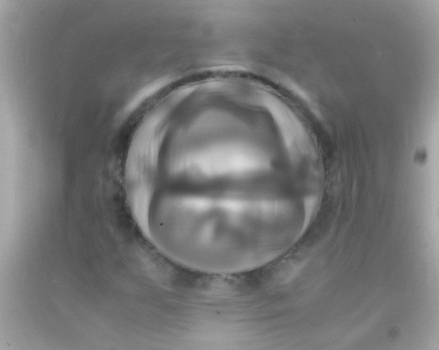 X0000091501255200709061915