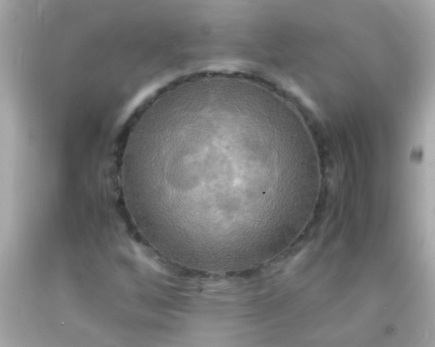 X0000091501256200709061915