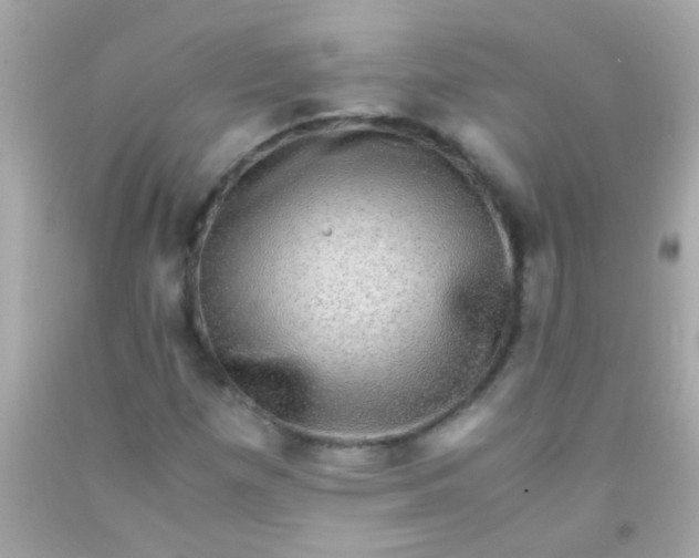 X0000091501257200709061915