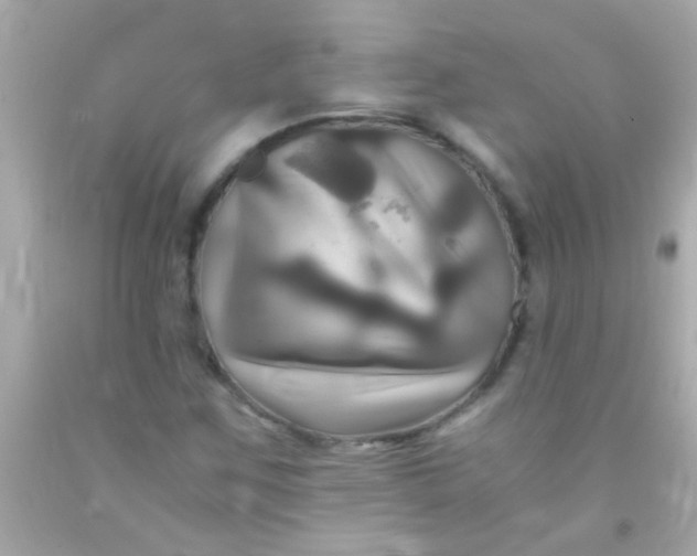 X0000091501259200709061915