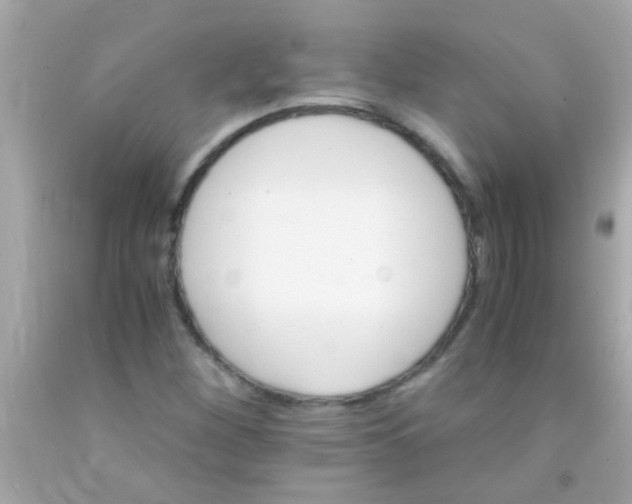 X0000091501260200709061915