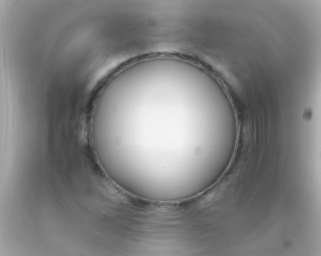 X0000091501262200709061915