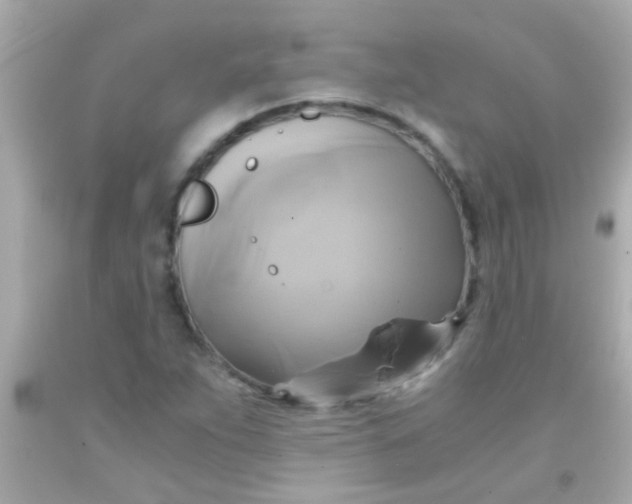 X0000091501263200709061915