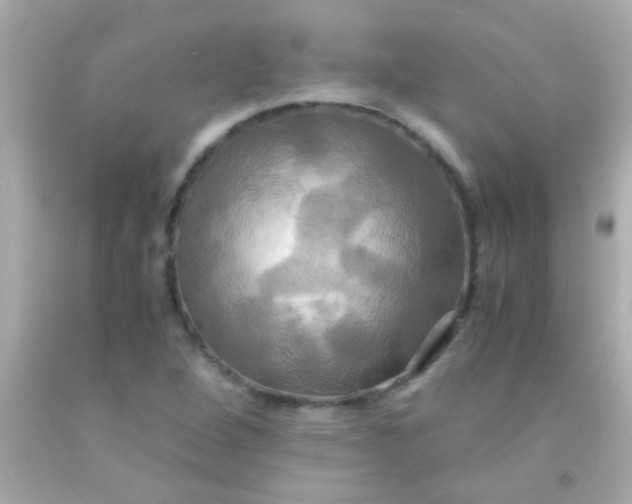 X0000091501264200709061915