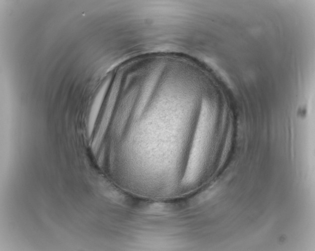 X0000091501265200709061915