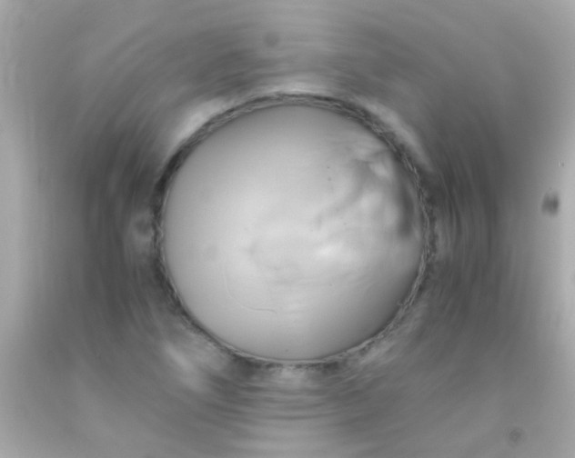 X0000091501266200709061915