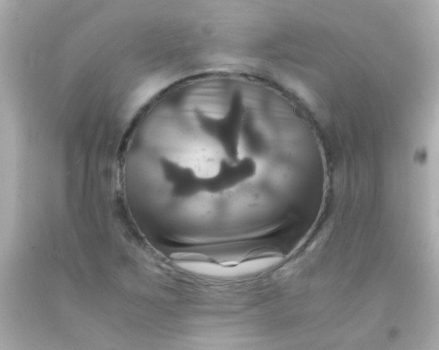 X0000091501267200709061915