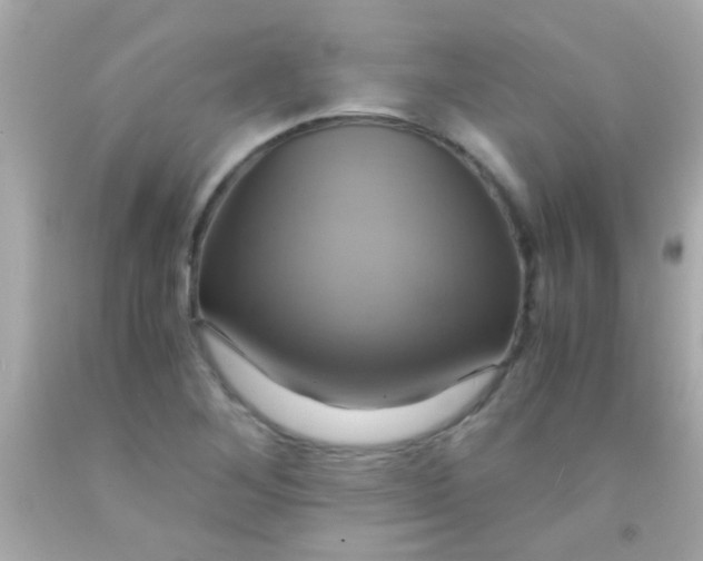 X0000091501268200709061915