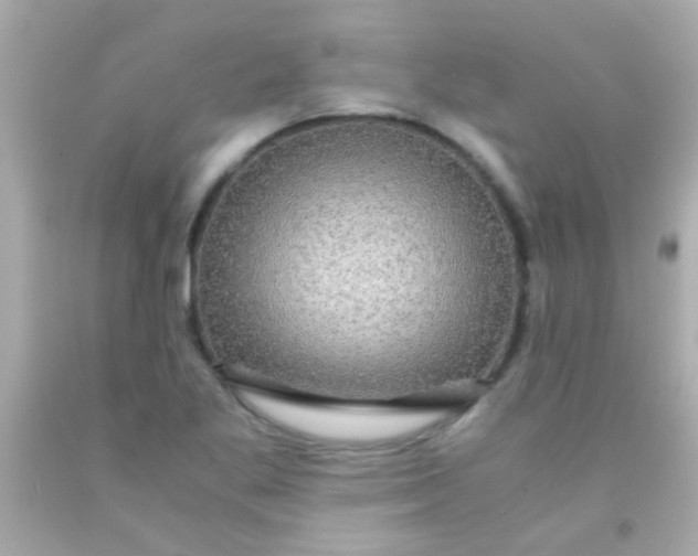 X0000091501269200709061915