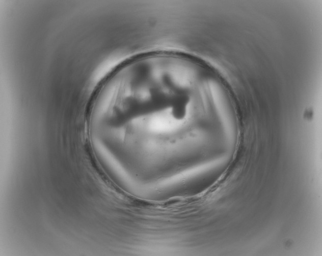 X0000091501271200709061915